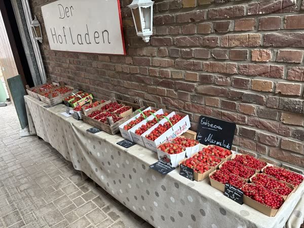 Kisten mit Erdbeeren und Himbeeren auf der Theke vor dem Hofladen